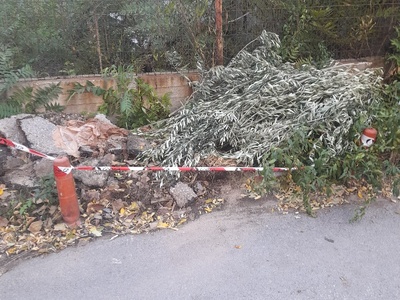 Ευαθ   καρολιδου