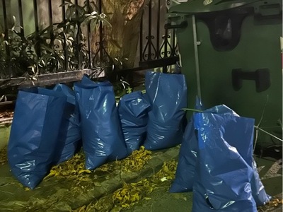 ΣΑΚΟΥΛΕΣ ΜΕ ΜΠΑΖΑ 	Ευριπίδου