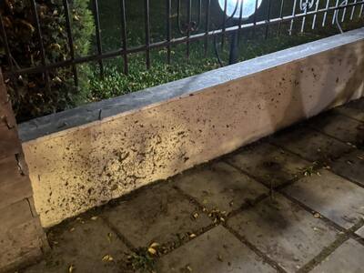 Αναφορά σχετικά με πρόσφατο καθαρισμό δρόμου και θέμα σε ιδιωτική περίφραξη