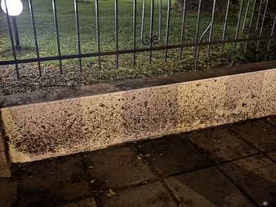 Αναφορά σχετικά με πρόσφατο καθαρισμό δρόμου και θέμα σε ιδιωτική περίφραξη