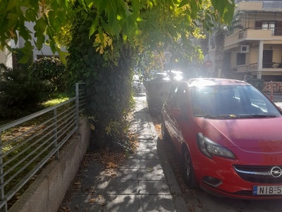 κλαδεμα    Απ παυλου 6Α