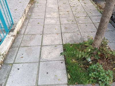 καθαριότητα οδών  Κολοτούρου Κίου Κονίτσης και Κωνσταντινουπόλεως και μέχρι την Πασαλίδη