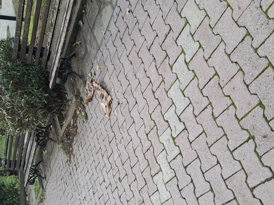 Πάρκο Μάνου Κατράκη  	Τιβεριουπόλεως