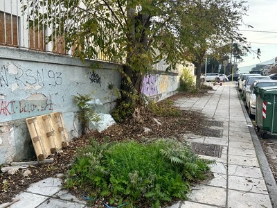 καθαριοτητα