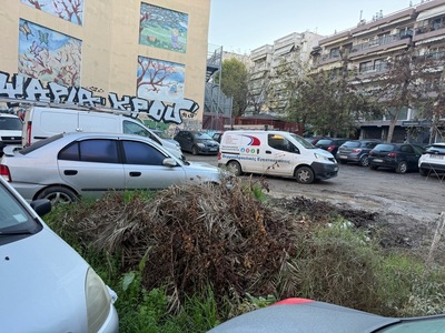 σκουπίδια και χόρτα  Χαλκηδόνος