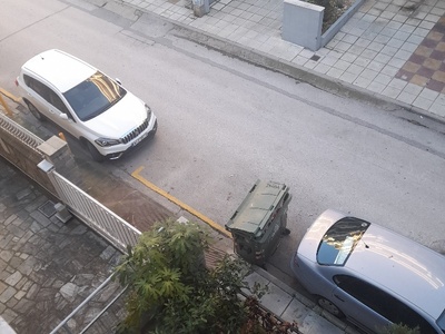 αμμεσα 	Φλεμιγκ