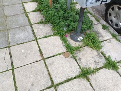 Καθαριότητα πεζοδρομίων και οδών  ΠΑΠΑΦΛΕΣΣΑ