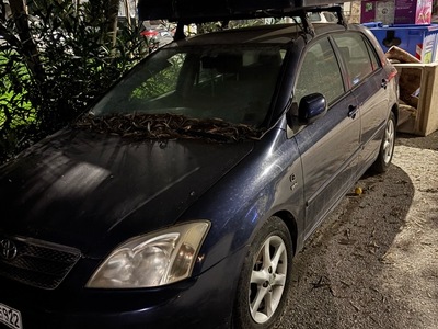Ξανα παρατημενο καραμπουρνακι  Δωδεκανήσου