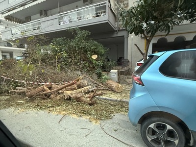 παρατημενα κλαδια στο πεζοδρομιο  Καραμαούνα