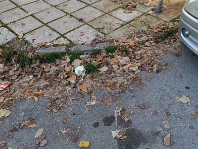 Καθαριότητα πεζοδρομίων Ιωνιας