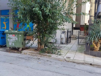 Κλάδεμα δέντρου  	Φιλικής Εταιρείας