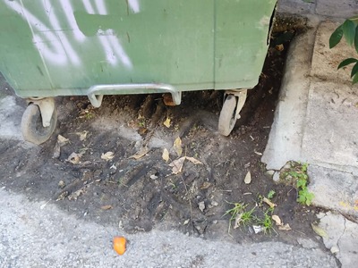 Καθαρισμός κάτω απ τους κάδους  Φιλικής Εταιρείας