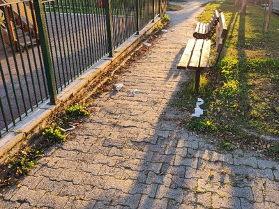 καταθαριοτητα γυρω απο την παιδική χαρά  	Μιχαλακοπούλου