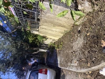 ΚΛΑΔΕΜΑ ΚΑΙ ΚΑΘΑΡΙΣΜΑ ΠΕΖΟΔΡΟΜΙΟΥ  	Μικρας Ασίας