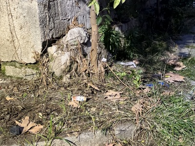 ΚΛΑΔΕΜΑ ΚΑΙ ΚΑΘΑΡΙΣΜΑ ΠΕΖΟΔΡΟΜΙΟΥ  	Μικρας Ασίας