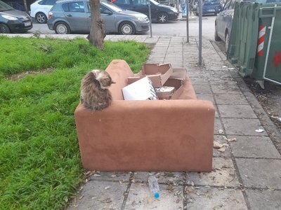 αμμεσα  Παστερ