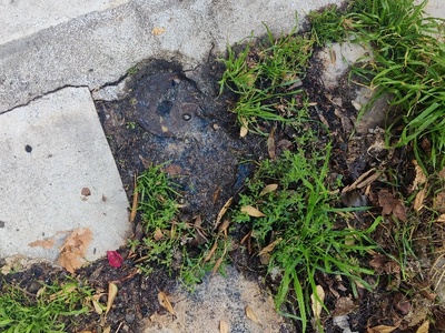 Μικρη διαρροή νερου  Κωστή Παλαμά