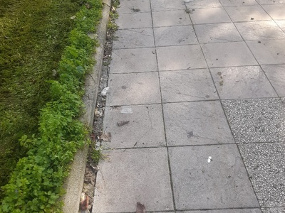 αμμεσα  Κνωσου