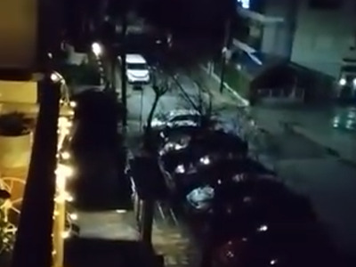 Αδέσποτη αγέλη σκύλων στην Καλαμαρία