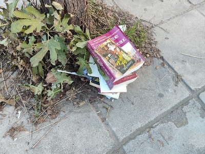 βιβλία  πόντου