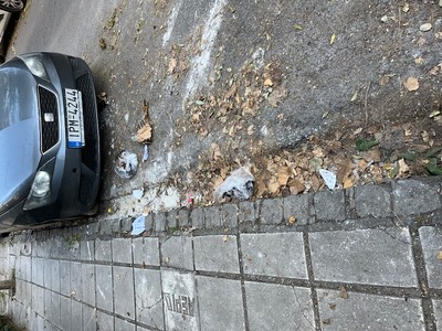 Καθαρισμός στην οδό Αγ. Ελένης ( μεταξύ Προύσης και Μαρμαρά) ...σεβαστείτε μας........επιτέλους...