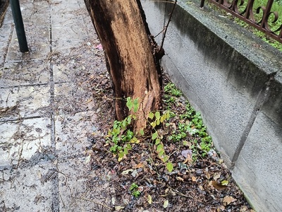 Βουλωμένο φρεάτιο Μητροπολίτου Ιωσήφ & Δαβάκη