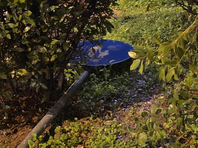 επεσε η ταμπελα μετα την ανακαίνιση  	Αδριανουπόλεως