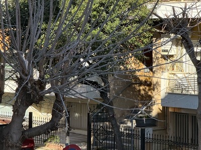 ΚΙΝΔΥΝΟΣ ΠΤΩΣΗΣ ΔΕΝΤΡΟΥ ΜΕ ΕΠΙΚΙΝΔΥΝΗ ΚΛΙΣΗ ΑΠΟ ΤΟΝ ΑΝΕΜΟ  	Μακροχωρίου