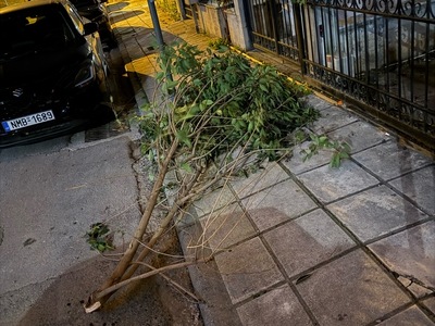 ΣΠΑΣΜΕΝΑ ΚΛΑΔΙΑ ΑΠΟ ΤΟΝ ΑΝΕΜΟ  Μακροχωρίου