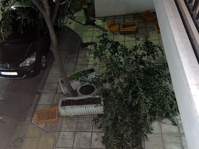 Πτώση κλαδιών λόγω ισχυρών ανέμων  	Μακροχωρίου