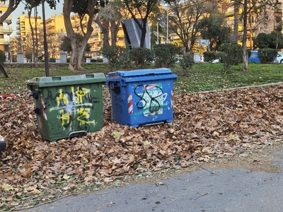 Καθαρισμός-αποκομιδή πεσμένων φυλλων  πάρκο Κερασούντος