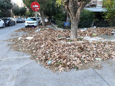 Καθαρισμός-αποκομιδή πεσμένων φυλλων  πάρκο Κερασούντος