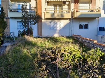 Κλαδιά δέντρων εντός οικοπέδου   Σουλίου με Ζαλόγγου γωνία