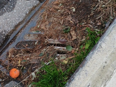 βουλωμενα φρεάτια 	Ρόδου