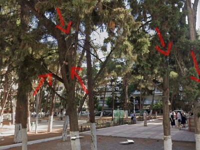 Παλαιά Χριστουγεννιάτικα λαμπάκια - Προύσης