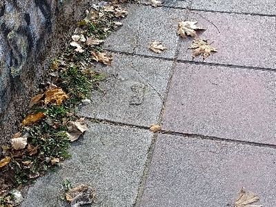 Ελλιπής καθαριότητα