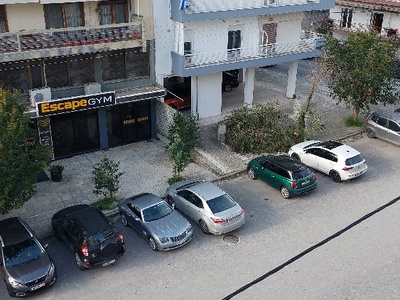 πεσμένο δέντρο  Θέτιδος