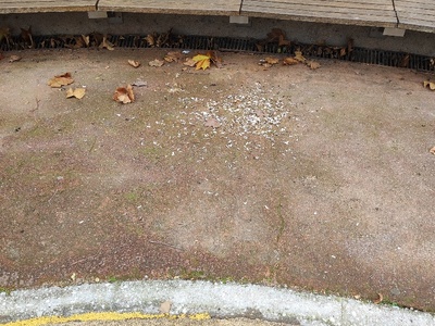 καθαριότητα παιδικής χαράς  Βρυούλων