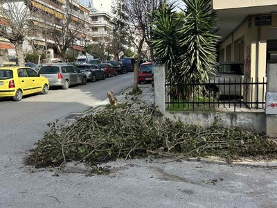 Κλαδιά στο πεζοδρόμιο Κολοτούρου