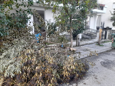 Πεσμένο κλαδί-δέντρο  στο πεζοδρόμιο στην οδό Φιλίππου 30 με Αγίου Βασιλείου γωνία.