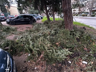 ΑΛΑΝΑ ΑΝΔΡΙΑΝΟΥΠΟΛΕΩΣ