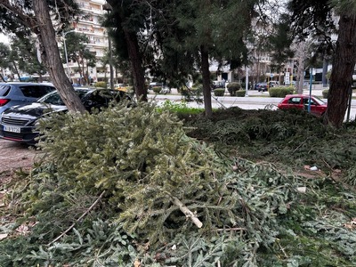 ΑΛΑΝΑ ΑΝΔΡΙΑΝΟΥΠΟΛΕΩΣ