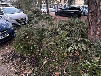 ΑΛΑΝΑ ΑΝΔΡΙΑΝΟΥΠΟΛΕΩΣ