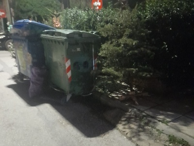 αμμεσα 	Αλ φλεμιγκ