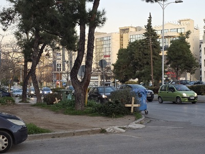 παρατημένα δεντρα  	Ογκώδη 	Δαρδανελλίων