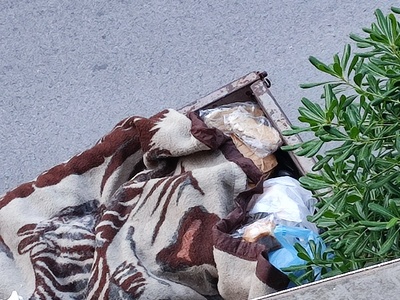 Εστια μόλυνσης