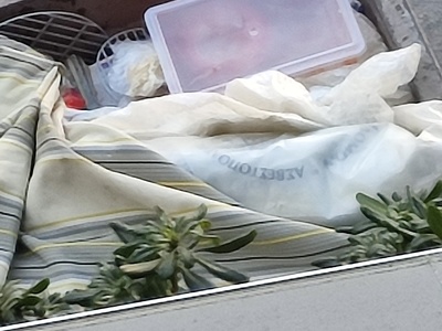 Εστια μόλυνσης