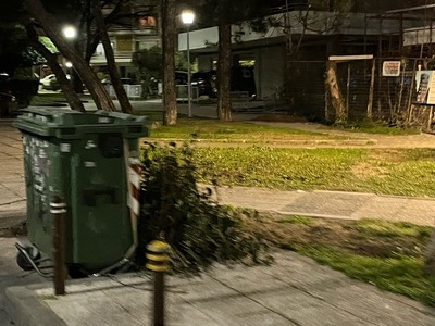 ΜΑΖΕΜΑ ΚΛΑΔΙΩΝ