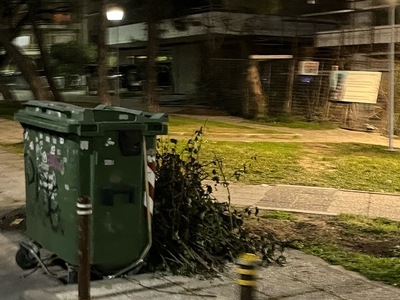 ΜΑΖΕΜΑ ΚΛΑΔΙΩΝ