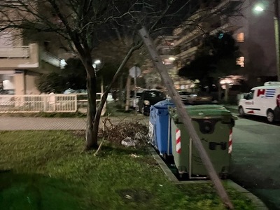 ΜΑΖΕΜΑ ΚΛΑΔΙΩΝ